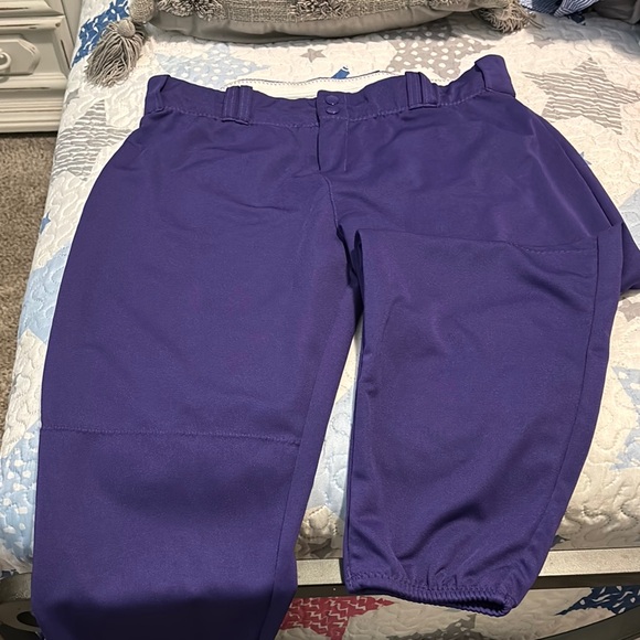 Purple Softball Pants - Picture 1 of 4